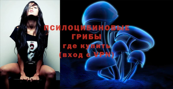 соль ск Алексеевка