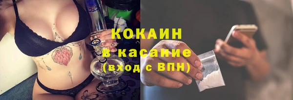 стаф Аркадак