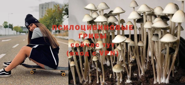 стаф Аркадак