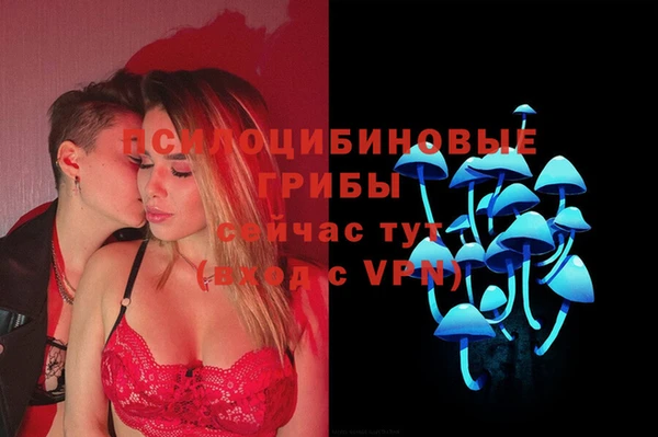 соль ск Дмитровск