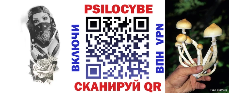 darknet телеграм  Могоча  Галлюциногенные грибы MAGIC MUSHROOMS 